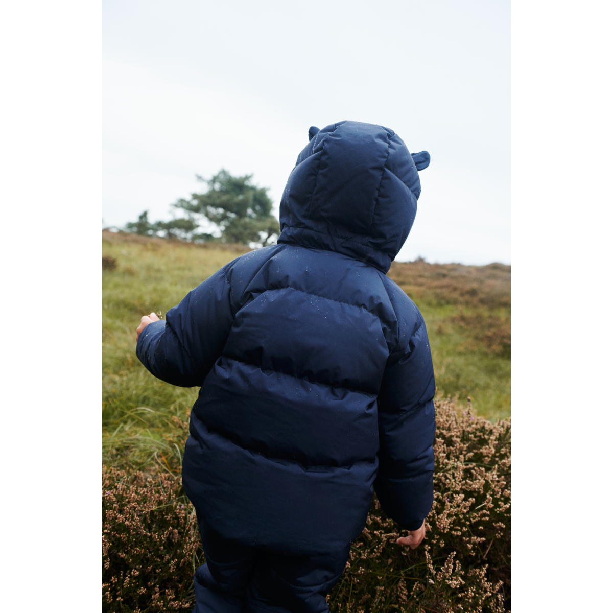 LIEWOOD Polle Dunjakke - Classic navy - Jakker