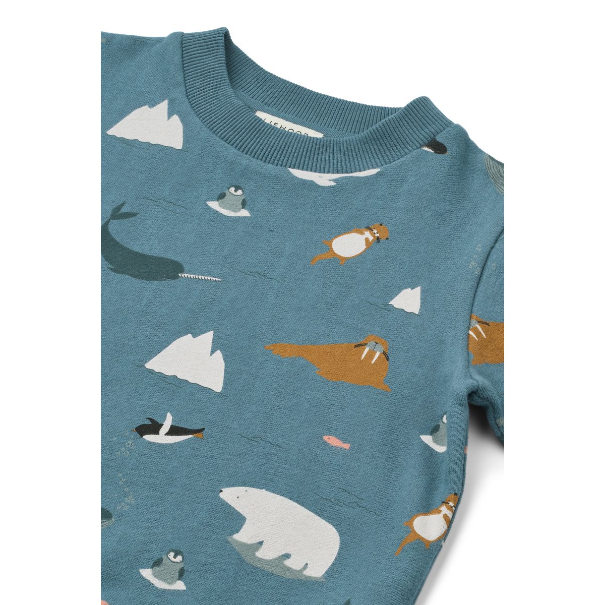 LIEWOOD THORA Sweatshirt med print - Arctic Sea / Ocean view - Sweatshirts