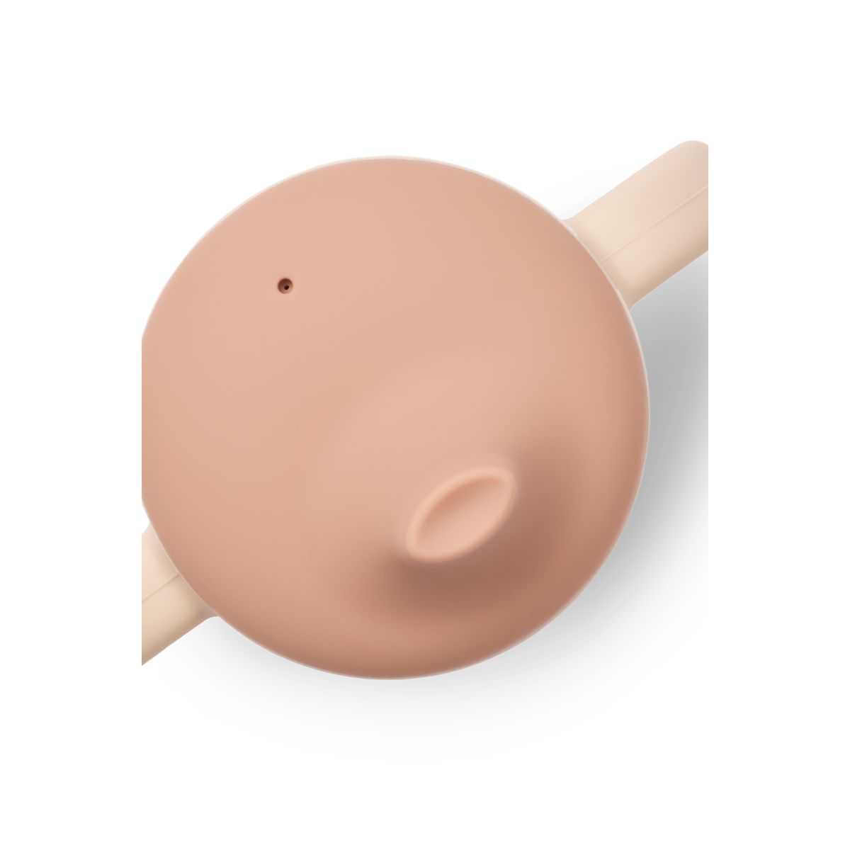 Neil Tudekop - Butterfly / Apple blossom