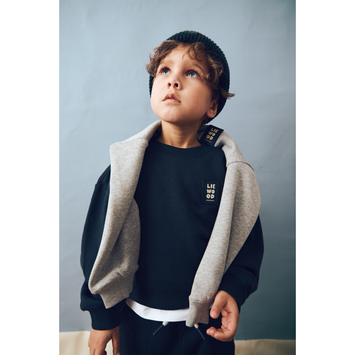 LIEWOOD RIDLEY sweatshirt - Classic navy - Sweatshirts