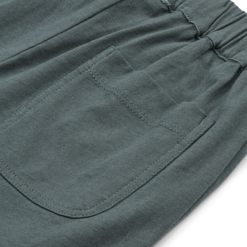 LIEWOOD Bako bomuldshorts - Whale blue - Shorts